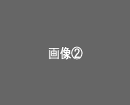 こんな看板がたくさん