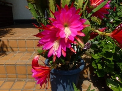 P1000165.JPG