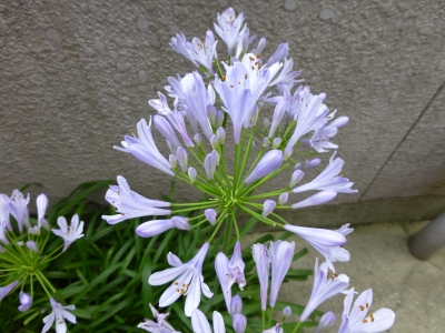 P1000201.JPG