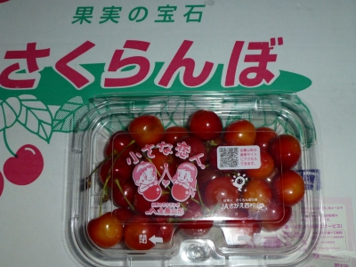 P1000190.JPG
