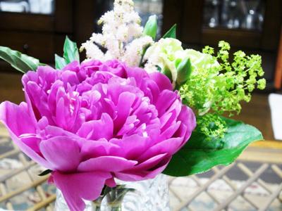 シャクヤクの花