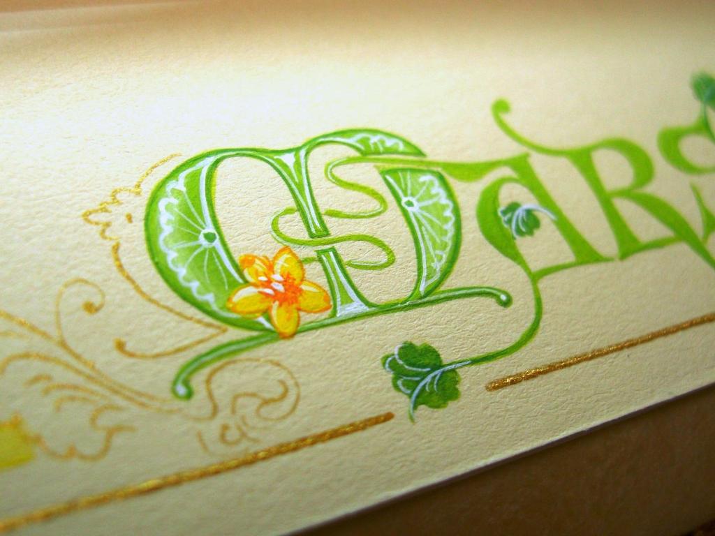 ¹ë²Ú¤Ê¾þ¤êʸ»ú¡§¥«¥ê¥°¥é¥Õ¥£¡¼¡¦¥¤¥ë¥ß¥Í¡¼¥·¥ç¥óÂθ³