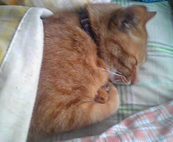 100530_113423.jpg