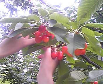 100630_153845.jpg