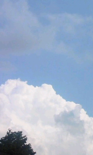 100708_1432~0100010002.jpg