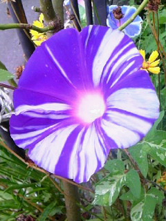 100809_0719~0300010001.jpg