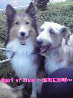 20100728183700000001.jpg
