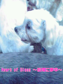 20100728183600000001.jpg