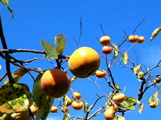 111020_1318~010001.jpg