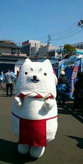 rps20140405_210930.jpg