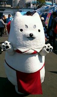 rps20140405_211052.jpg