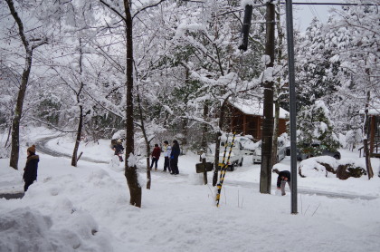 20150124_11.jpg