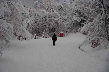 20150124_06.jpg