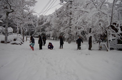 20150124_05.jpg