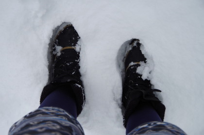 20150124_04.jpg