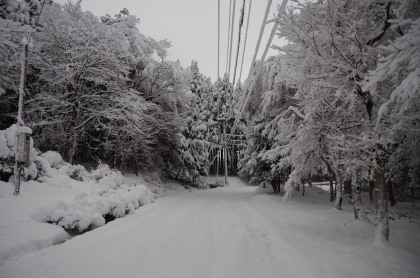 20150124_03.jpg