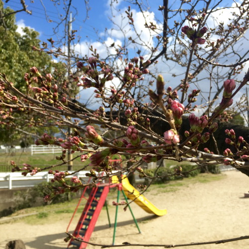 20150505_34.jpg
