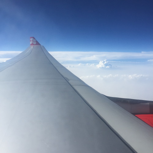 20150505_25.jpg