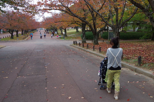 20151108_05.jpg