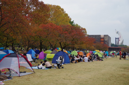 20151108_15.jpg