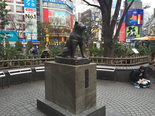 20160313_26.jpg