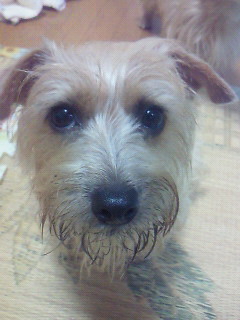 200910300634000.jpg