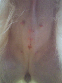 200910300635000.jpg