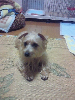 200911140639000.jpg