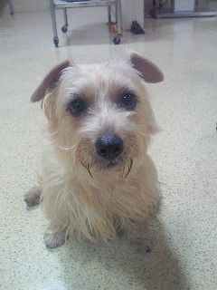 200911161609001.jpg