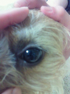 200911191623000.jpg