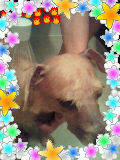 200911231834000.jpg
