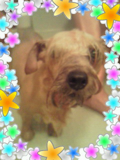200911231904000.jpg