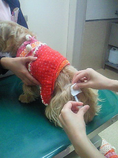 200912030938001.jpg