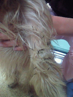 200912071612000.jpg
