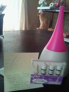 200912131254000.jpg