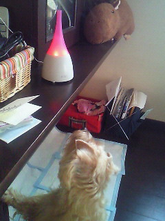 200912131256000.jpg