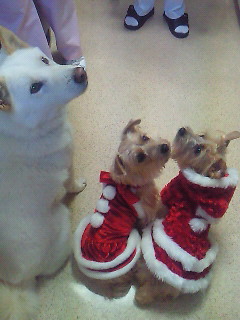 200912141108000.jpg