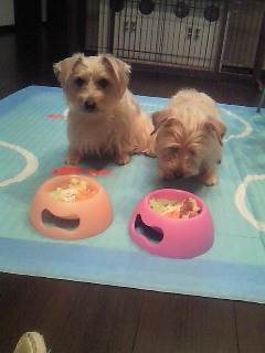200912131754000.jpg