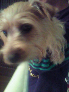 200912131925000.jpg