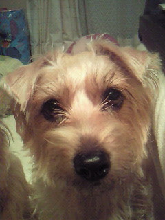 200912311805000.jpg