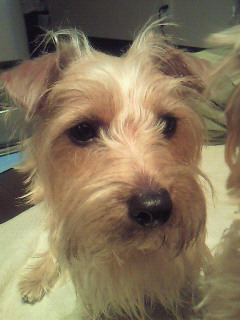 200912311804000.jpg