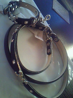 201001161647000.jpg