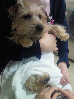 201002121850000.jpg