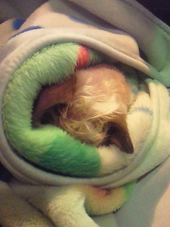 201002122016000.jpg