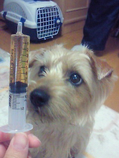 201003120639000.jpg