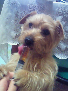 201003120640001.jpg
