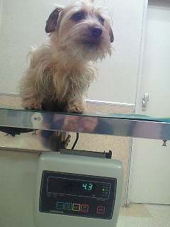 201003101016000.jpg