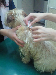 201003101017000.jpg