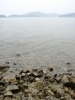大芝の海