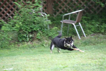 IMG_0051.jpg
